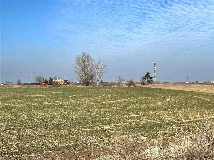 2 PARCELE TEREN INTRAVILAN | 3000mp + 2985mp | NOJORID E671 (OradeaSalonta) | B - 8