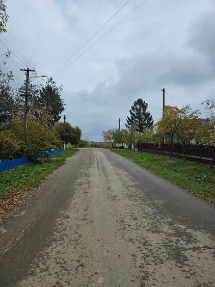 Butimanu (Decindea) Jud. Dambovita, teren intravilan si extravilan - 6