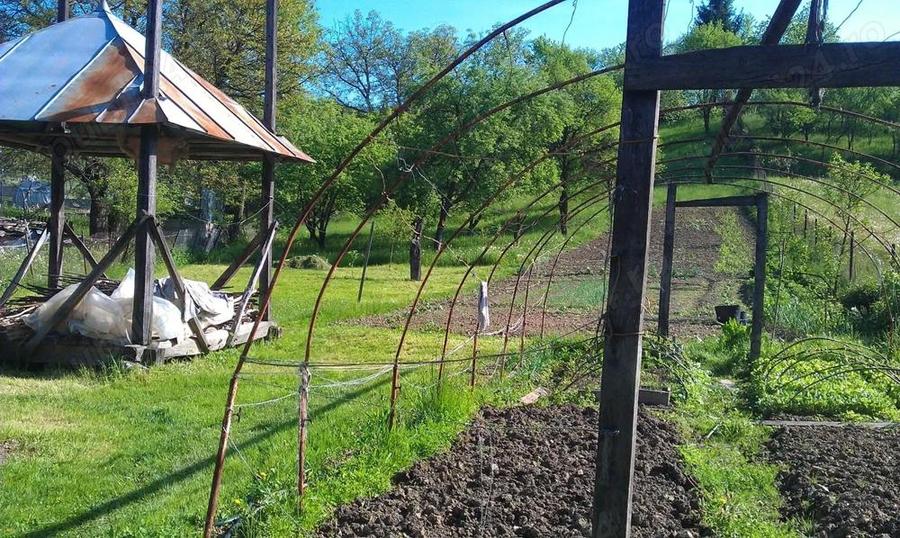 Casa cu etaj si anexe de vanzare - 1