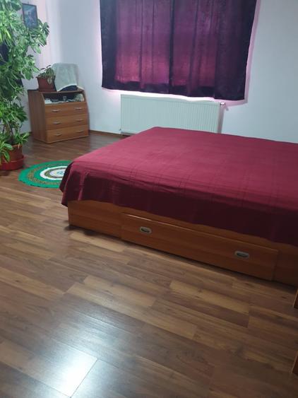 Vila individuala-la bulevard -Berceni IF - 14