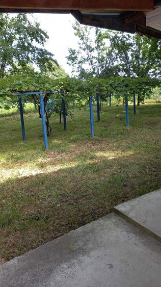 Casa de vanzare in comuna Paltinis-Botosani - 5