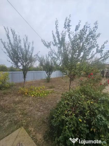 CASA P+M , 150 mp, TEREN 3000 MP ,FILIASI( FRATOSTITA) , COM - 1