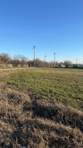 Parcul National Comana, Sat Vlad Tepes, Comuna Comana, jud.Giurgiu - 4