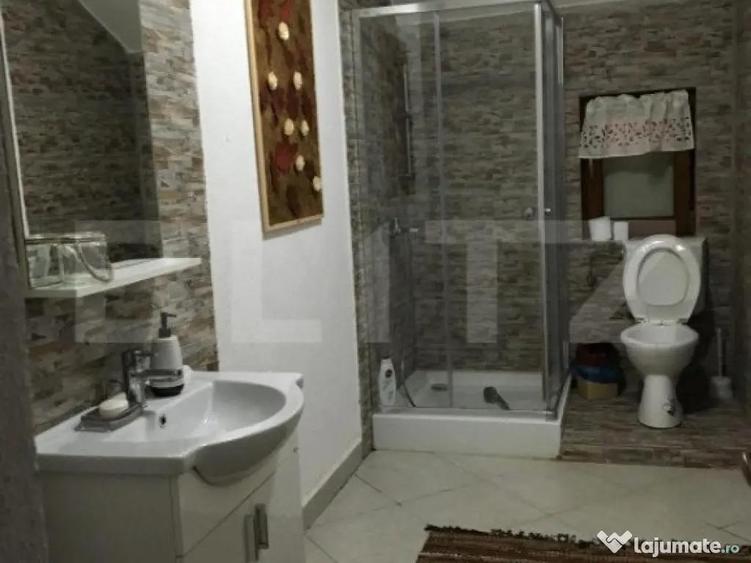 Cabana de vanzare, 8 camere,teren 1500 mp, zona Colibi?a-Ma - 10