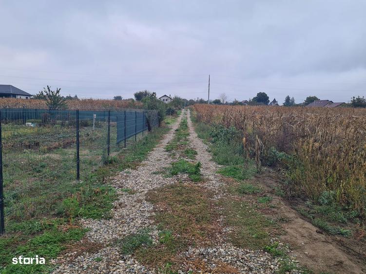 Teren intravilan 1100 mp, Lilieci-Bacau - 1