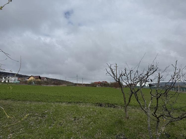 Vand teren Valea Chintaului Mun Cluj Napoca - 1