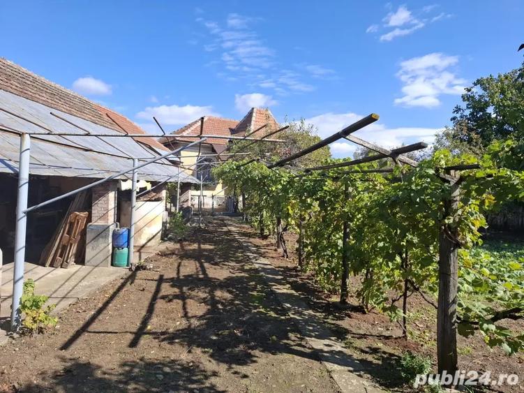 Casa cu teren 1480 mp, la 5 minute de Dunare Crivina, comuna Burila Mare, jude?ul Mehedin?i - 5