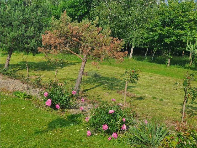 Teren agricol intravilan de 900 mp, în Săcel