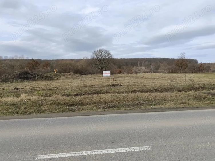 Teren de 750 mp, în Central