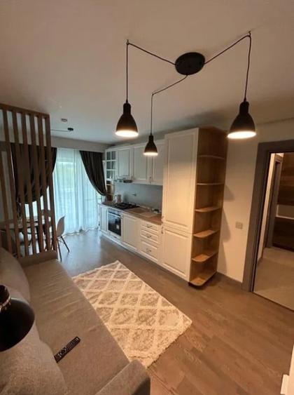 Apartament cu 2 camere semidecomandat, mobilat în Tătărași — fotografia 1