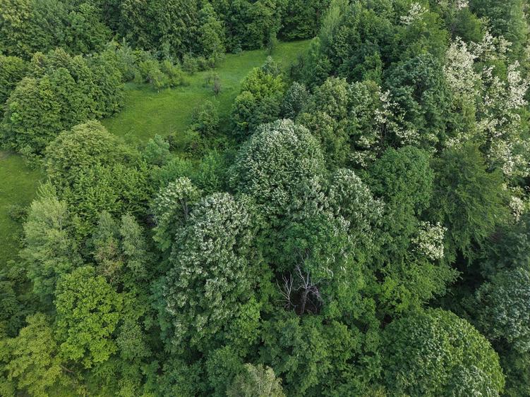 Teren Construcții intravilan de 17000 mp, în Doftana