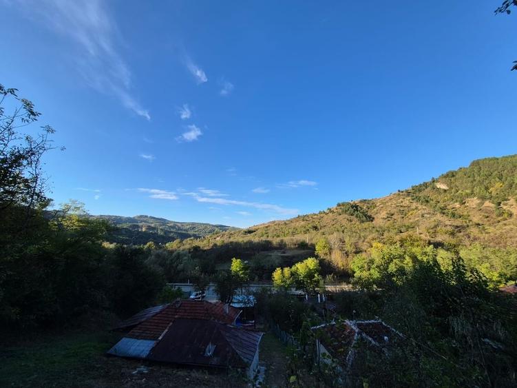 Casă cu 4 camere cu Teren 8000 Mp în Pruni