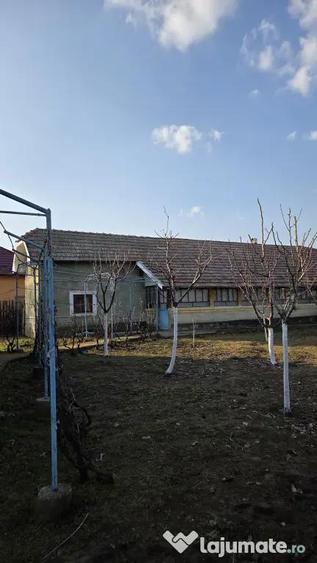 Casă cu 2 camere cu Teren 1500 Mp în Urzica