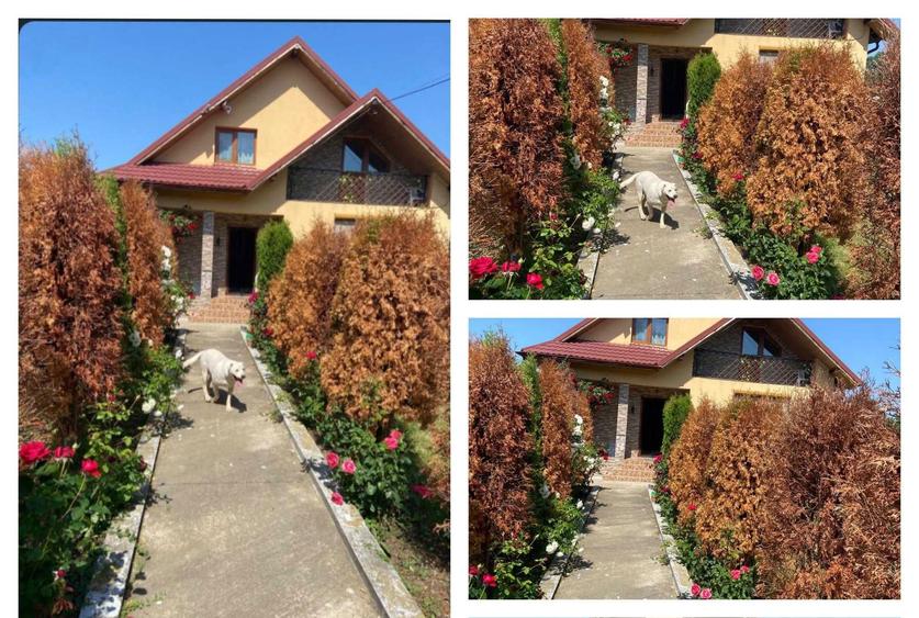 Casă cu 4 camere în Gârleni