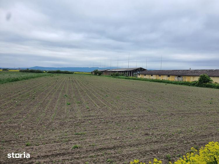 Teren Industrial Brasov - Halchiu cu deschidere la DN 13 - 1