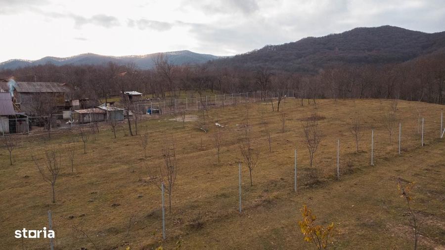 Teren cu suprafa?a de 5100mp amplasat intr-o zona superba de munte - 11