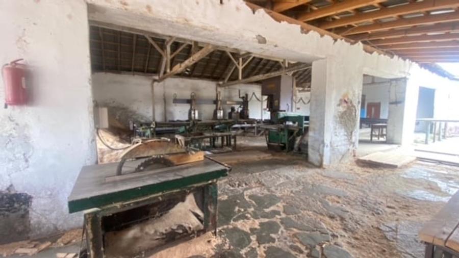 Fabrica de prelucrarea lemnului Valea Buzaului. - 14