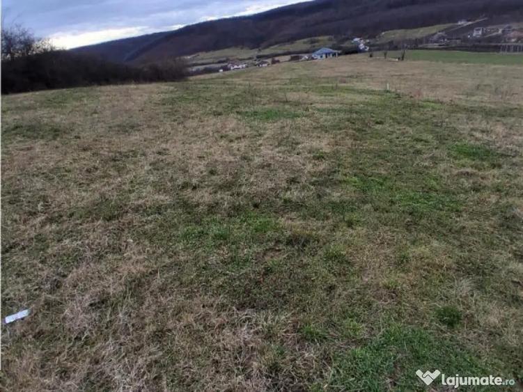 RECO Teren intravilan 5487 mp cu dublu front stradal-zona Be - 4