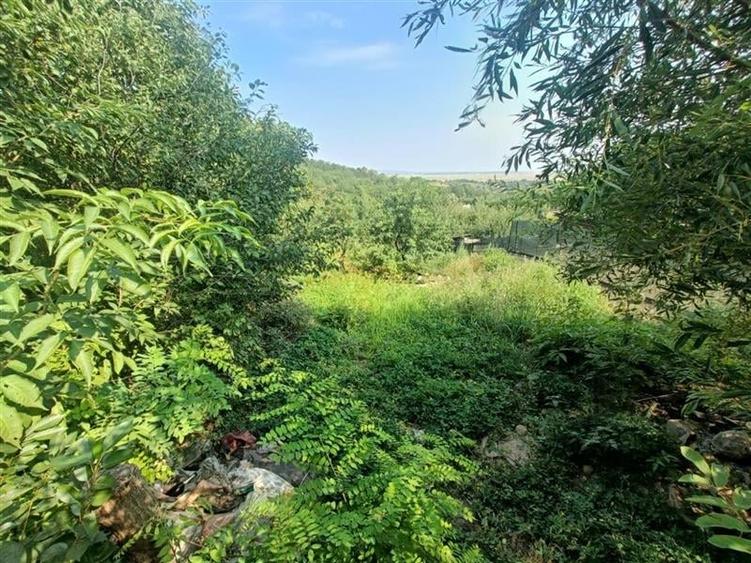 Teren intravilan, Sarata, 1.500mp - 1