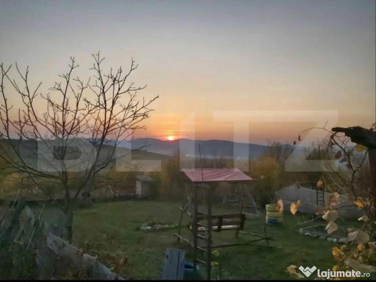 Teren extravilan de vanzare, Valea Budavului - 2