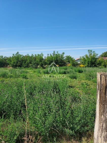 Vanzare teren intravilan 867 mp, Cartierul Stupini, Brașov - 3