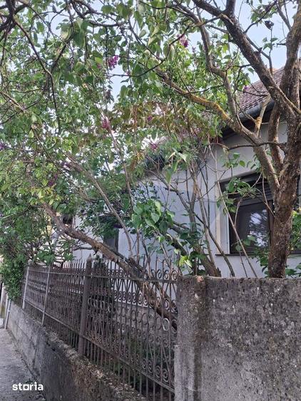 Casa spa?ioasa de vanzare in zona metropolitana, Fughiu - 5