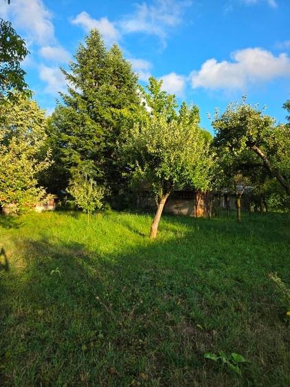 Teren 2500 mp – POTENȚIAL BUSINESS / DEZVOLTARE – Breaza - 8