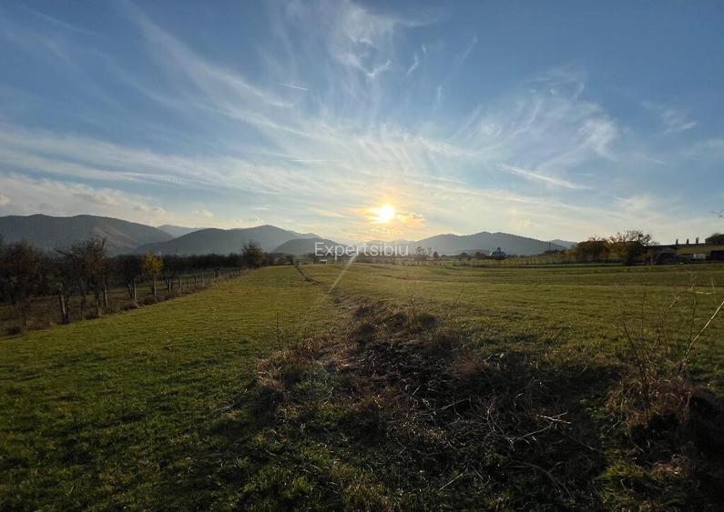 Teren de vanzare ideal pentru cabana Ra?inari, jud. Sibiu (2000 mp