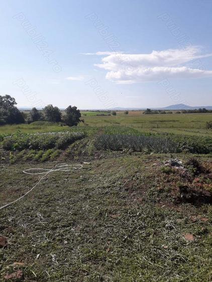 casa batrineasca cu teren de vinzare - 5