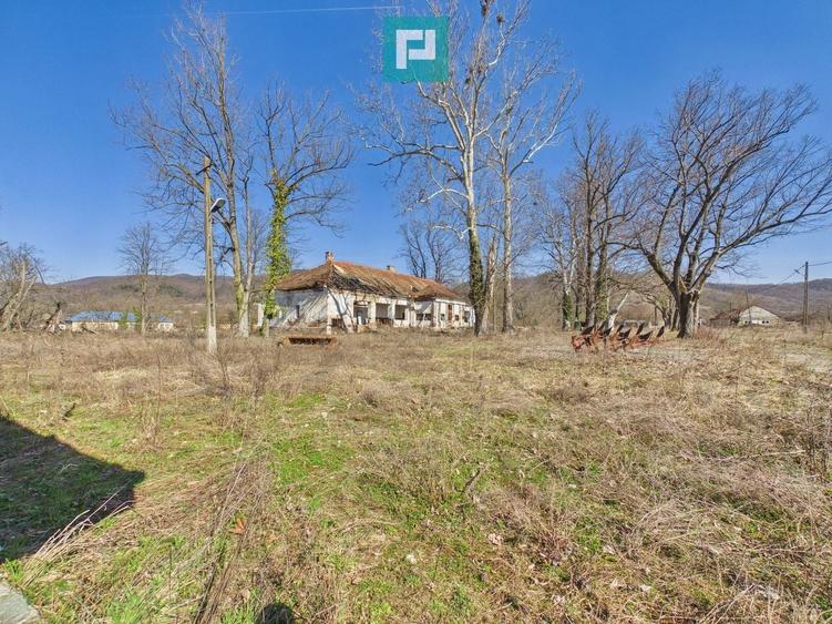 Conac nobiliar de secol XIX cu 8 camere în Maciova - 31