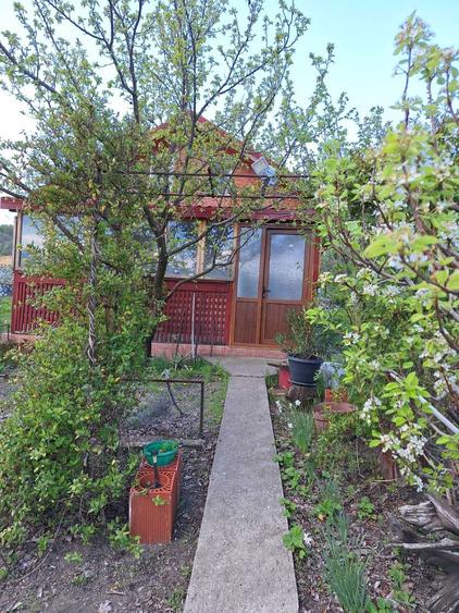 Casa P+M, direct proprietar, teren 2093 mp - 5