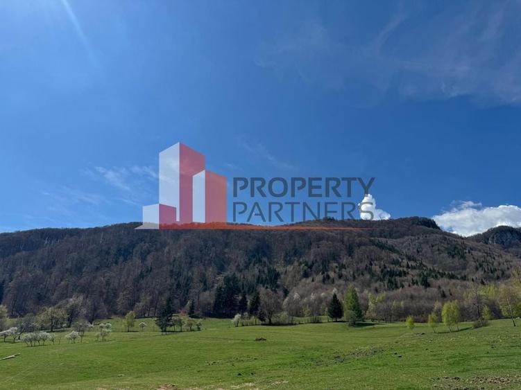 Terenuri Bran - Predelut  Priveliște către Bucegi și Postăvaru - 13