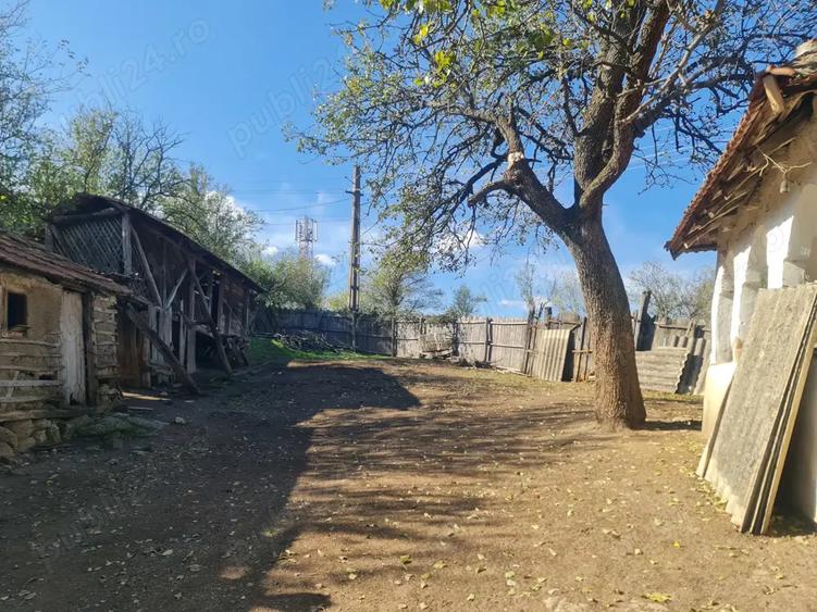 Casa si pamant agricol de vanzare - 5