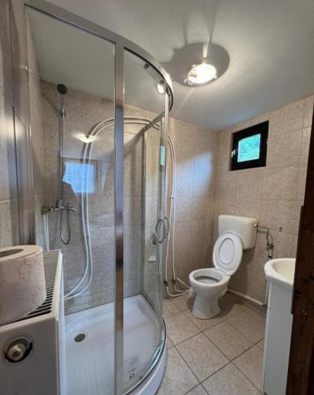 Cabana de 210mp, 2600 mp teren, in Rachitele - 19