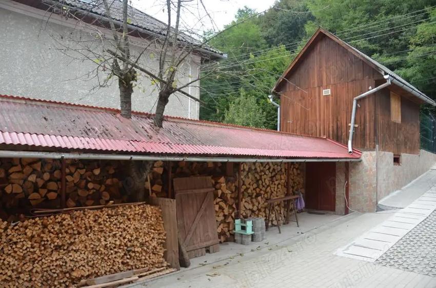 Vand casa in Campeni Alba - 4