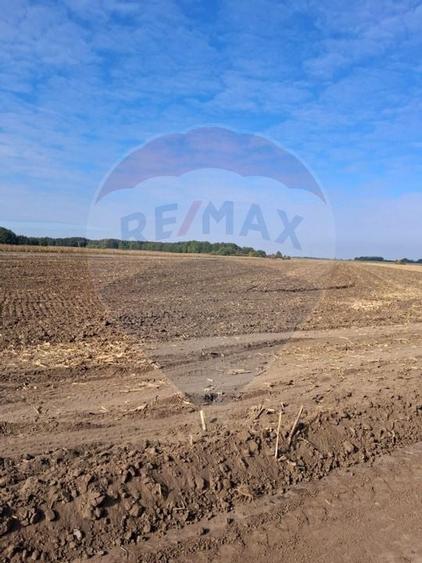 Teren 21,177mp Santaul Mic / Strada - - 3