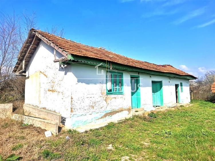 Casa batraneasca si teren intravilan, in sat Sarbi, comuna Banca, jud Vaslui - 4