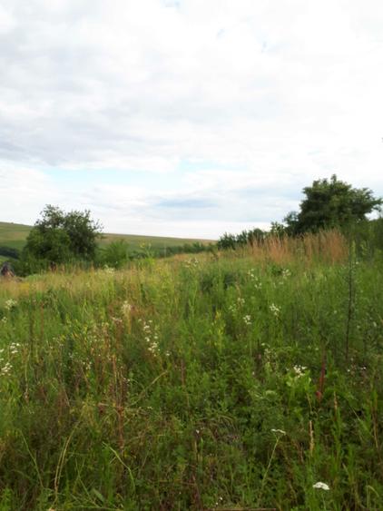 Vand 2300 mp cu utilitati, 32 eur/mp, Cluj Napoca/sat Rediu/Aiton - 3