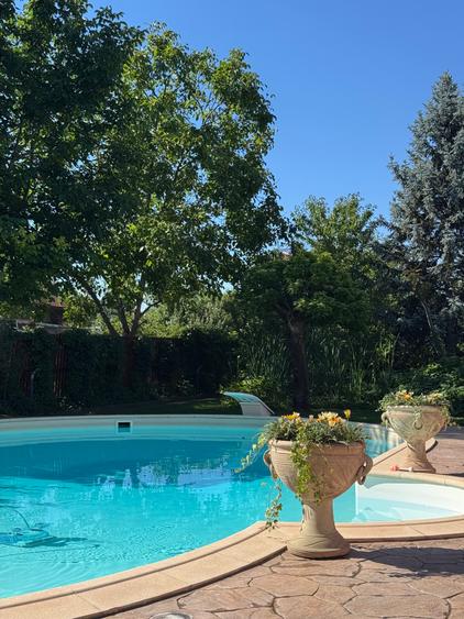 Vila Premium Lipovei Piscina Panouri solare 1180mp teren - 1