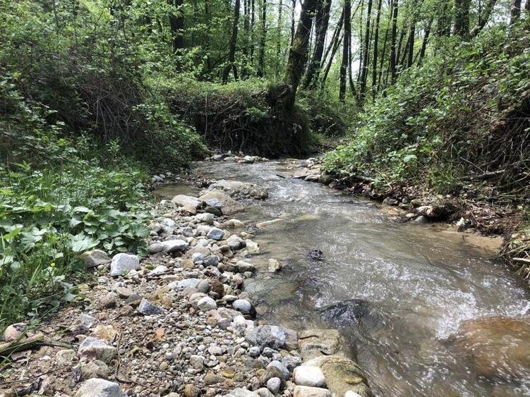Teren Zona Turistica Transalpina - Pestera Muierilor 9.746 mp - 6