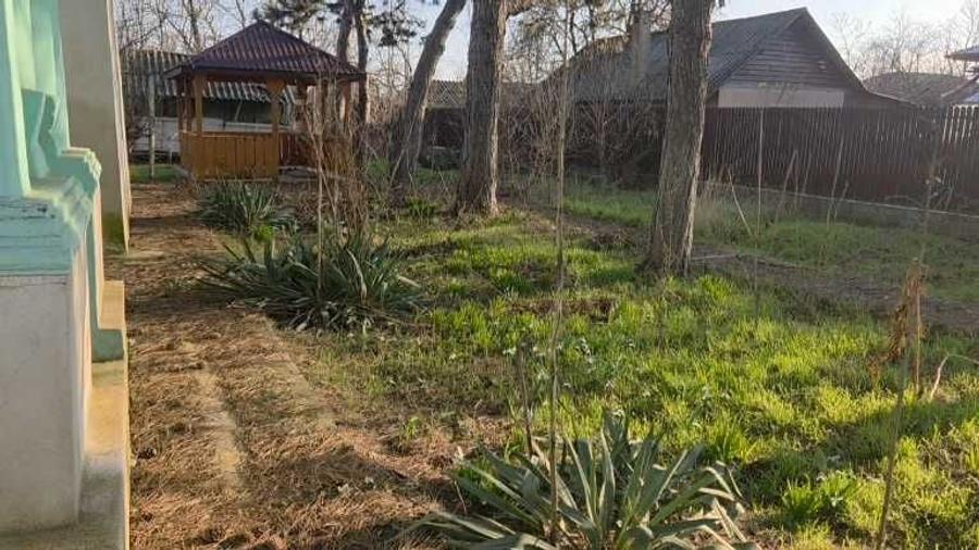 Casa cu teren ciocanesti 1296mp ideal renovare - 3