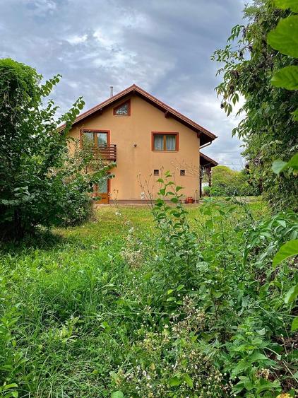 Giurgiu, vila cu padure proprie, izvor si iaz pe 19.900 mp teren - 11