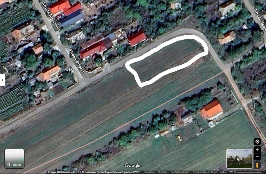 Parcul National Comana, Sat Vlad Tepes, Comuna Comana, jud.Giurgiu - 6