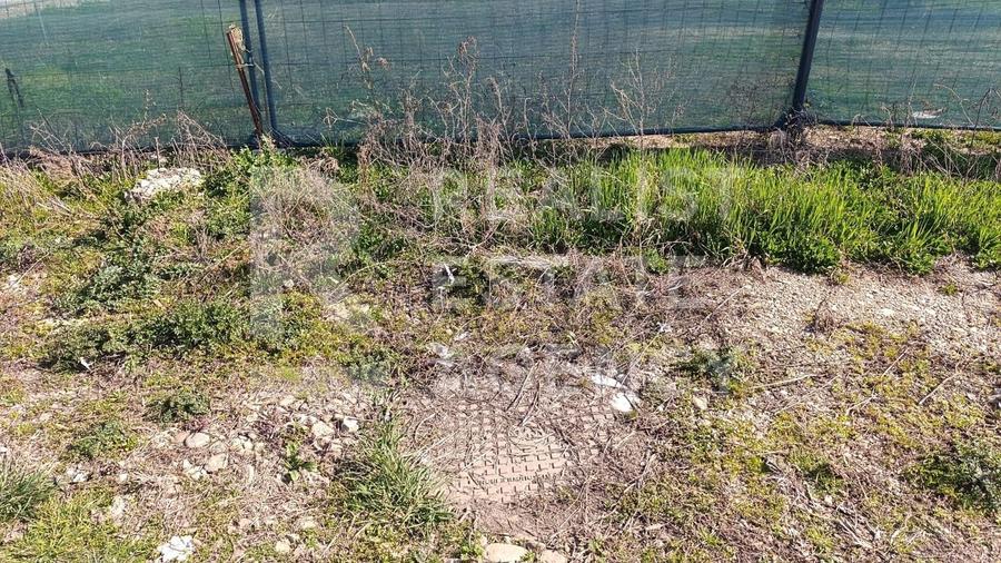 Teren generos 1044 mp aproape de Timișoara – ideal pentru investiție! - 5