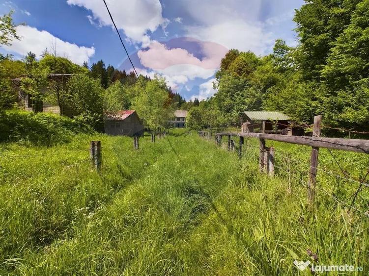 Comision 0%! Proprietate in natura, priveliste superba, S... - 14