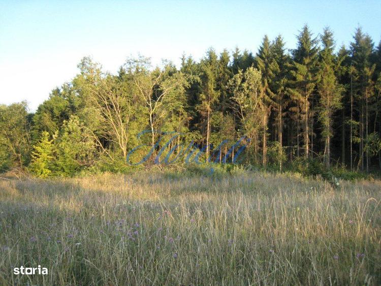 Oportunitate de Investitie Teren Intravilan 5.700 mp, Chinteni - 3