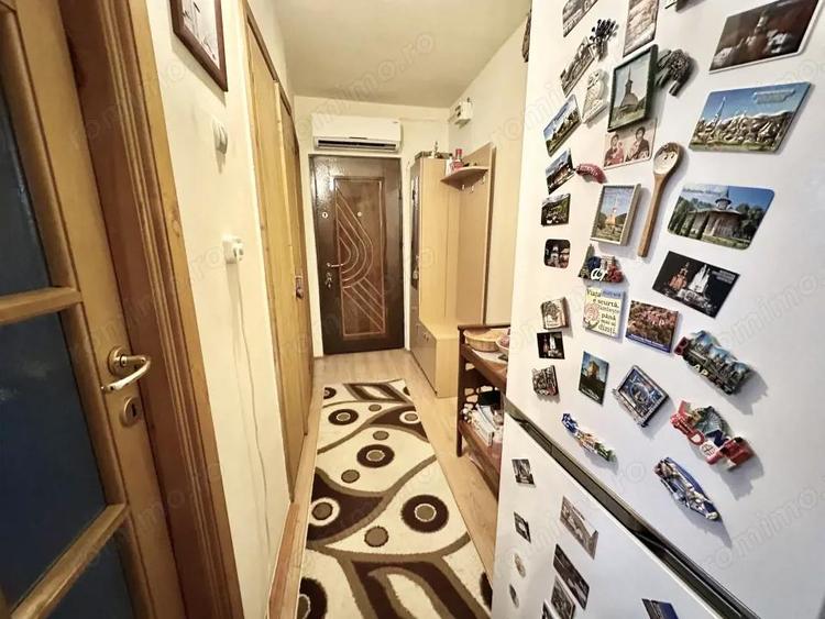 Apartament 1 camera complet mobilat si utilat - Buziasului - 1