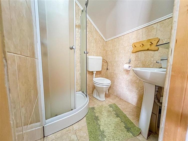 FILM! Pensiune turistica in statiunea balneo-climaterica Covasna - 13