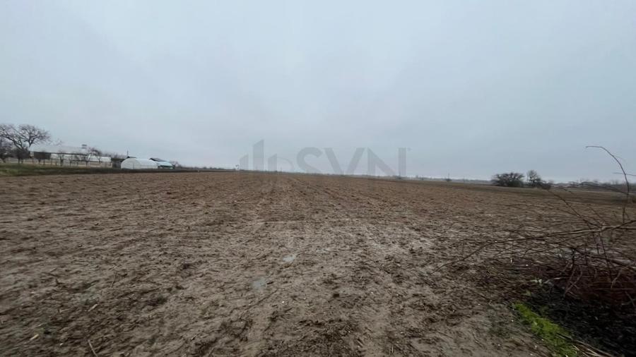 REL4001244 Teren intravilan 4200 mp zona case Merii - 2