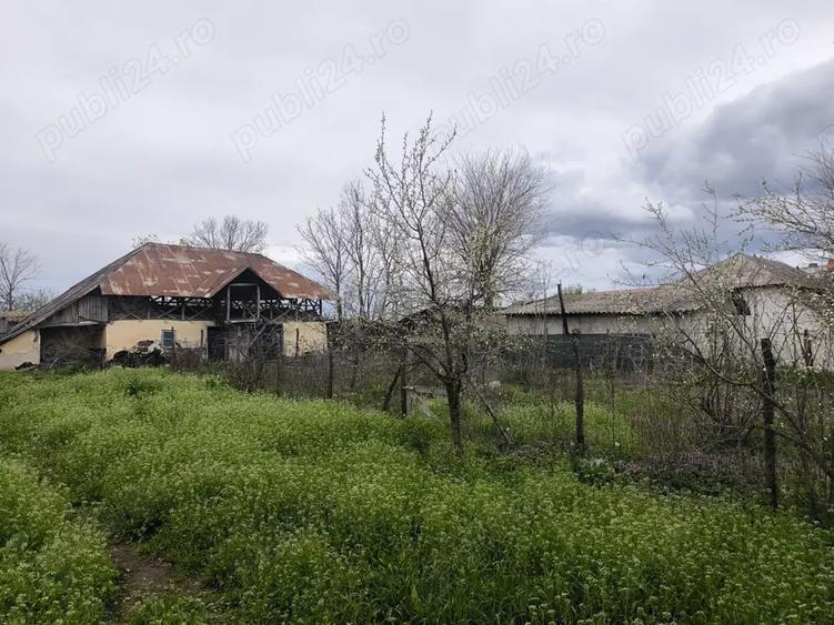 Se vinde casa batraneasca+ teren 2200 mp in Sat Izvoru, Arges - 9